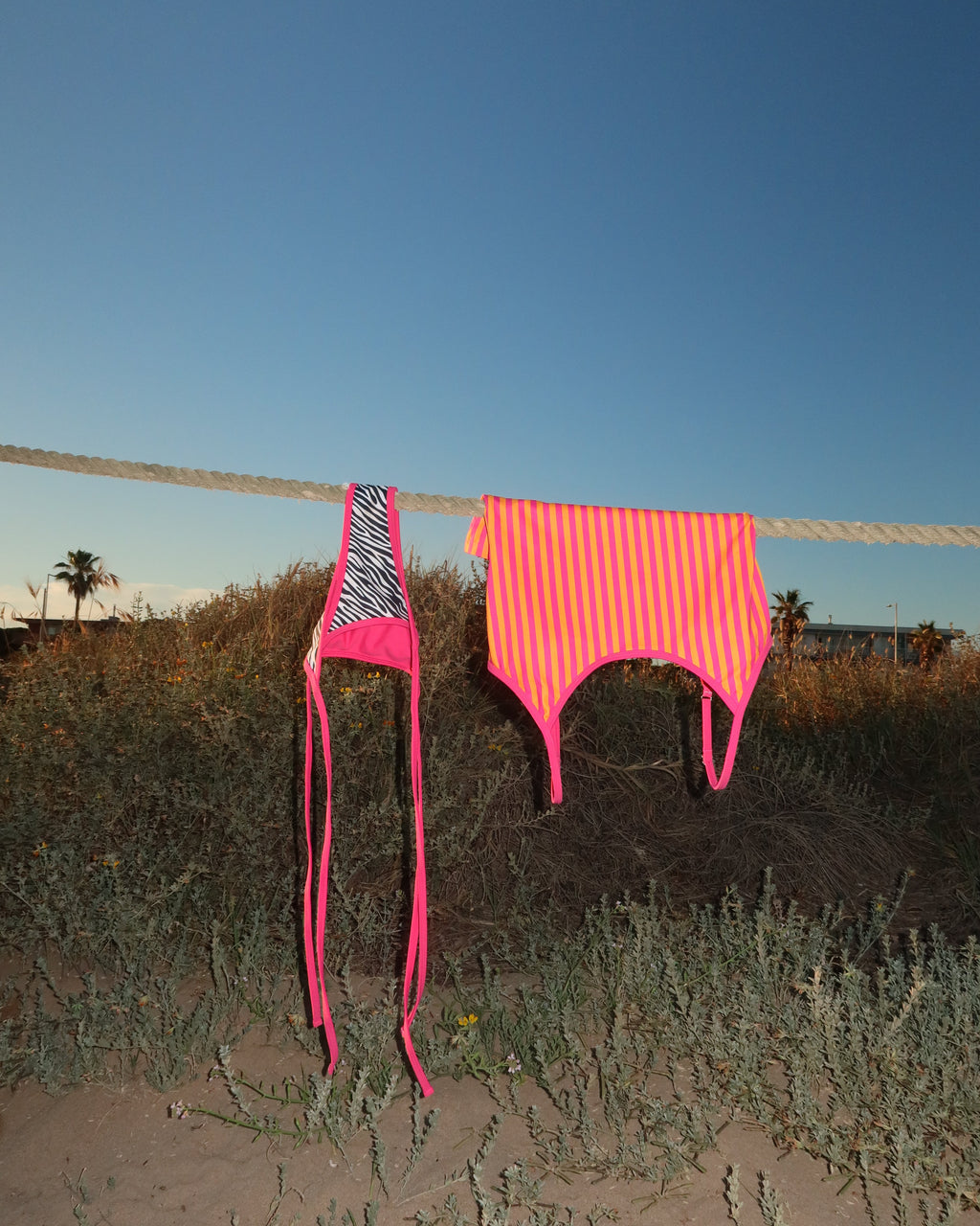 Reversible Bikini Zebra