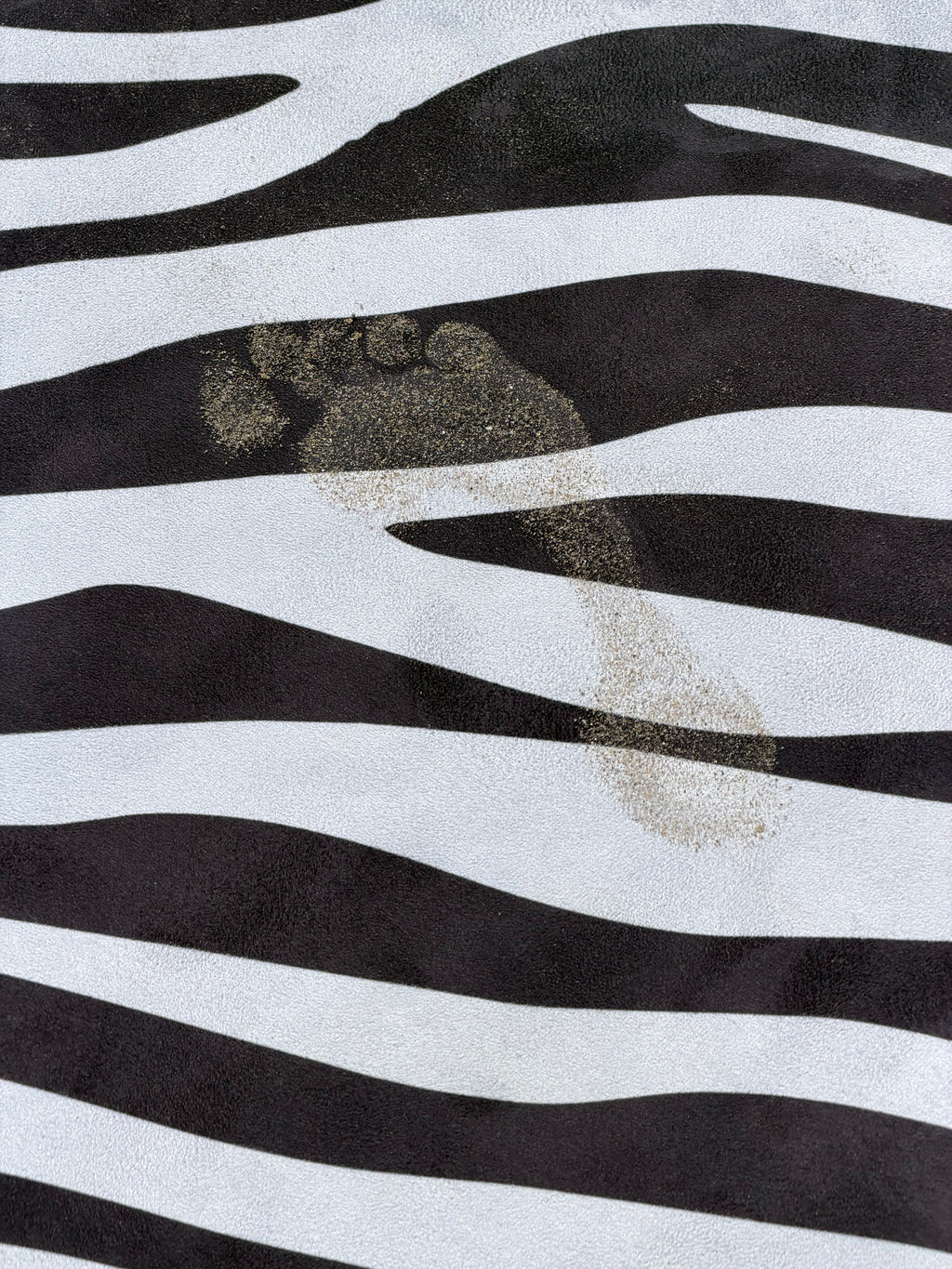 Roam Mat Zebra