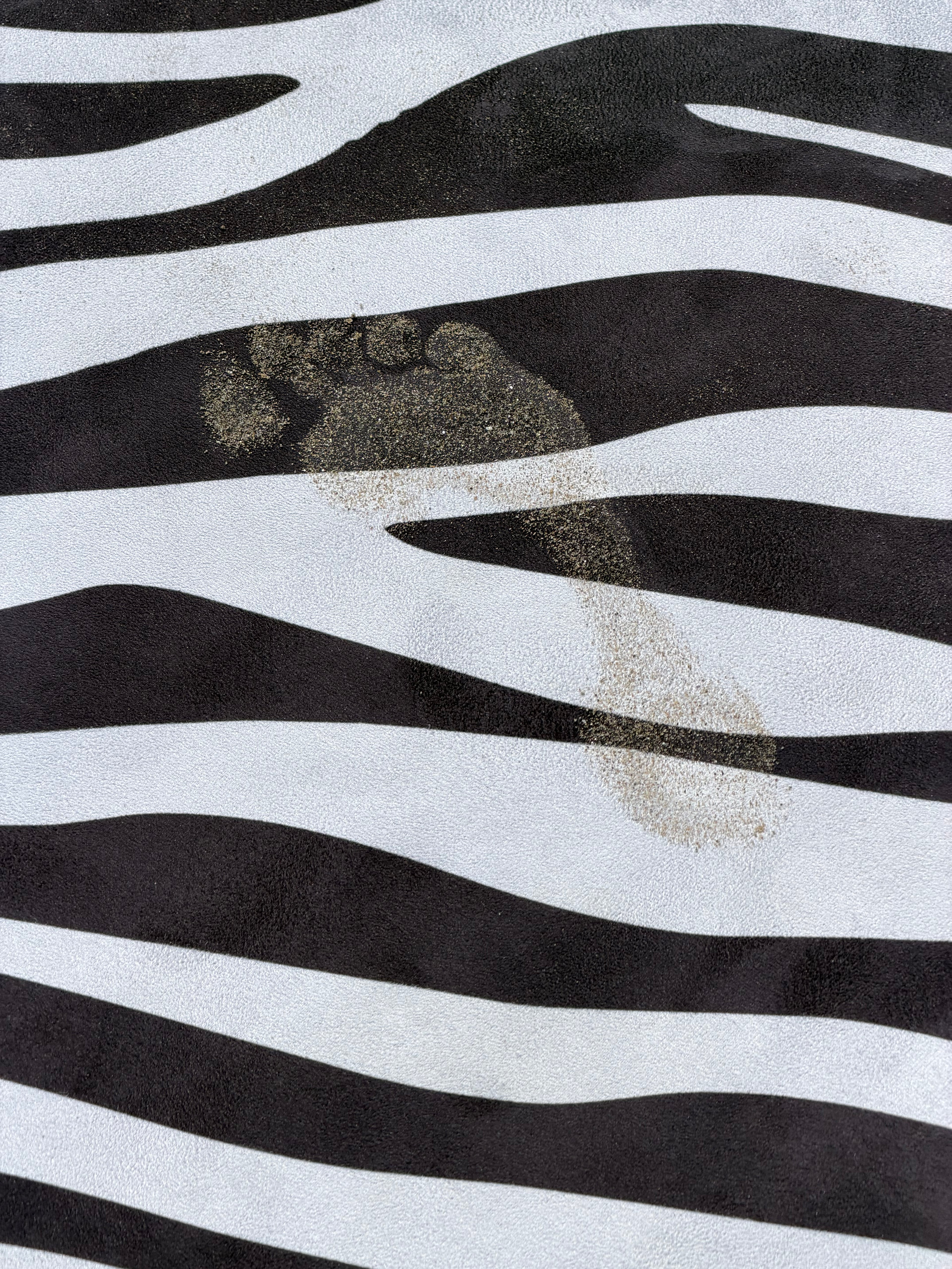 Roam Mat Zebra